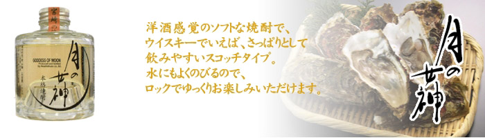 ̏_